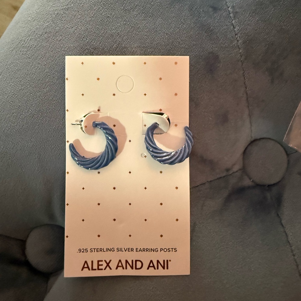 Alex and Ani Silver Hoop Earrings
